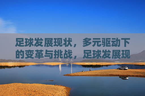 足球发展现状，多元驱动下的变革与挑战，足球发展现状，多元驱动的变革与挑战