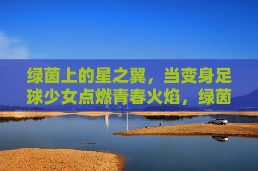 绿茵上的星之翼,当变身足球少女点燃青春火焰,绿茵星之翼,足球少女点燃青春火焰 绿茵上的星之翼,当变身足球少女点燃青春火焰,绿茵星之翼,足球少女点燃青春火焰