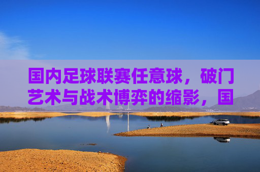 国内足球联赛任意球，破门艺术与战术博弈的缩影，国内足球联赛任意球，破门艺术与战术博弈的缩影