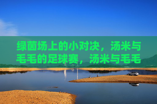 绿茵场上的小对决,汤米与毛毛的足球赛,汤米与毛毛的绿茵小对决 绿茵场上的小对决,汤米与毛毛的足球赛,汤米与毛毛的绿茵小对决