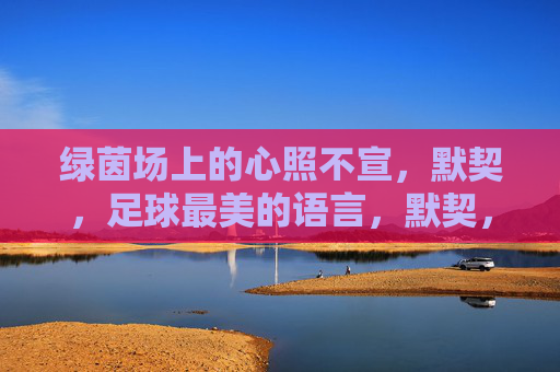 绿茵场上的心照不宣，默契，足球最美的语言，默契，绿茵场上最美的语言