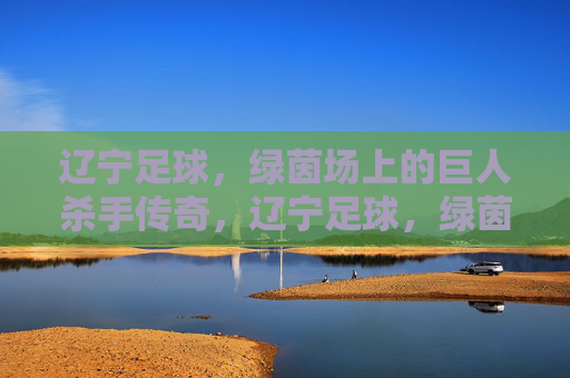 辽宁足球，绿茵场上的巨人杀手传奇，辽宁足球，绿茵场上的巨人杀手传奇