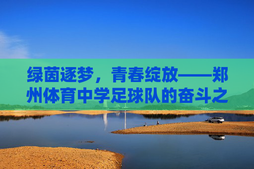 绿茵逐梦，青春绽放——郑州体育中学足球队的奋斗之路，绿茵逐梦，青春绽放