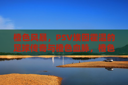 橙色风暴，PSV埃因霍温的足球传奇与橙色血脉，橙色风暴，PSV埃因霍温的足球传奇与血脉