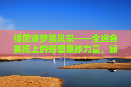 绿茵逐梦展风采——全运会赛场上的新疆足球力量，绿茵逐梦展风采，新疆足球力量闪耀全运会