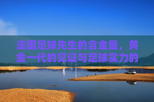 法国足球先生的含金量，黄金一代的见证与足球实力的标尺，法国足球先生的含金量，黄金一代见证与足球实力标尺