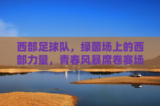西部足球队，绿茵场上的西部力量，青春风暴席卷赛场，西部力量，青春风暴席卷绿茵