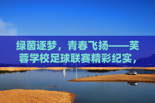 绿茵逐梦，青春飞扬——芙蓉学校足球联赛精彩纪实，绿茵逐梦，青春飞扬——芙蓉学校足球联赛精彩纪实