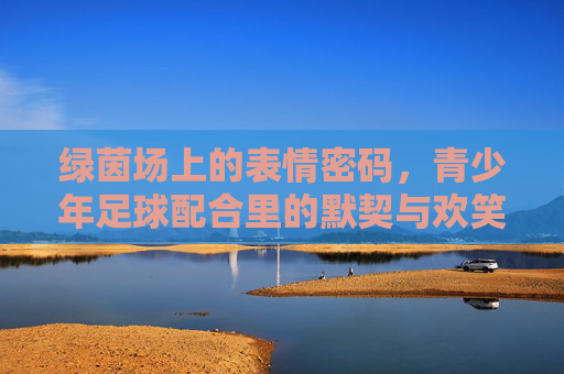 绿茵场上的表情密码，青少年足球配合里的默契与欢笑，绿茵场上的表情密码，青少年足球的默契与欢笑