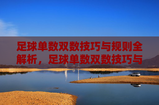 足球单数双数技巧与规则全解析，足球单数双数技巧与规则全解析