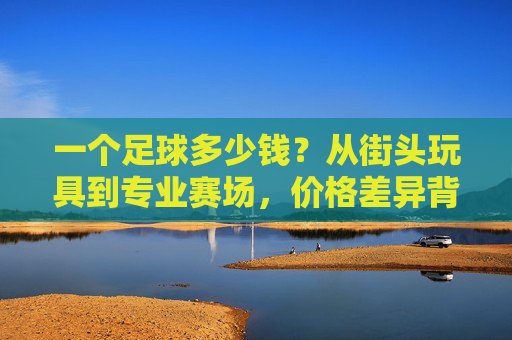 一个足球多少钱？从街头玩具到专业赛场，价格差异背后的秘密，街头玩具到专业赛场，足球价格差异背后的秘密