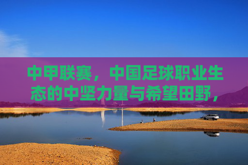 中甲联赛，中国足球职业生态的中坚力量与希望田野，中甲，中国足球职业生态的中坚力量与希望田野
