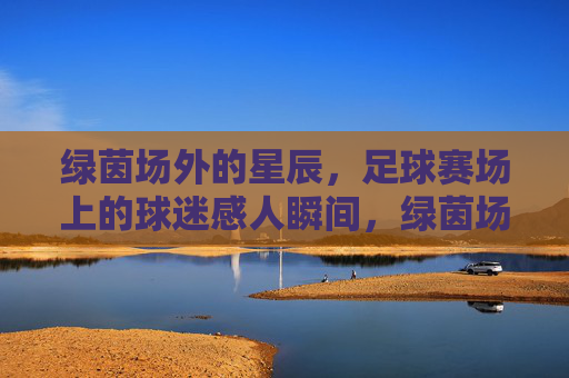 绿茵场外的星辰，足球赛场上的球迷感人瞬间，绿茵场外星辰闪耀，赛场球迷感人瞬间