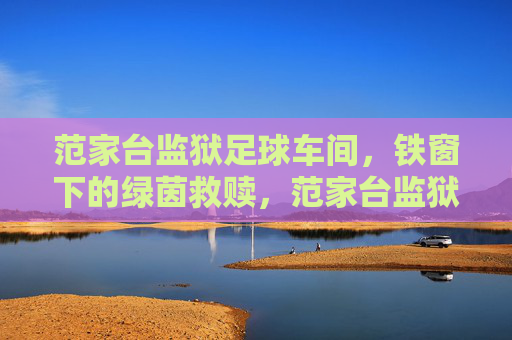 范家台监狱足球车间,铁窗下的绿茵救赎,范家台监狱足球车间,铁窗下的绿茵救赎 范家台监狱足球车间,铁窗下的绿茵救赎,范家台监狱足球车间,铁窗下的绿茵救赎