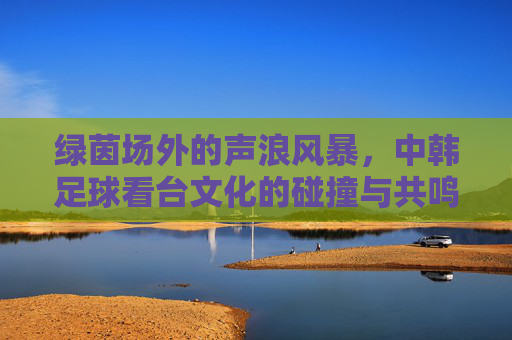绿茵场外的声浪风暴，中韩足球看台文化的碰撞与共鸣，绿茵场外的声浪，中韩看台文化的碰撞与共鸣