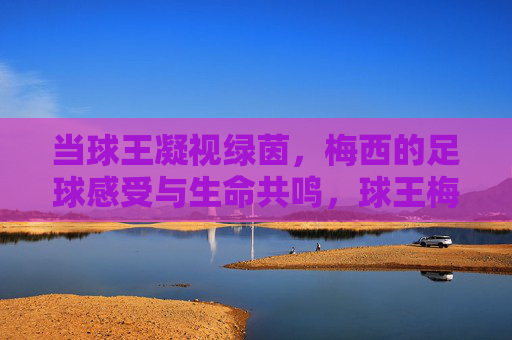 当球王凝视绿茵，梅西的足球感受与生命共鸣，球王梅西，绿茵凝视与生命共鸣