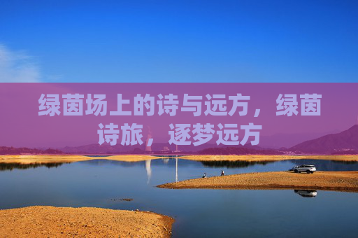 绿茵场上的诗与远方,绿茵诗旅,逐梦远方 绿茵场上的诗与远方,绿茵诗旅,逐梦远方