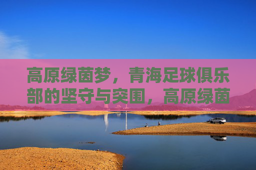 高原绿茵梦，青海足球俱乐部的坚守与突围，高原绿茵梦，青海足球俱乐部的坚守与突围