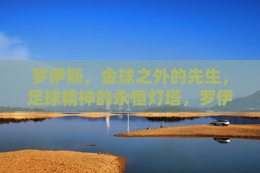 罗伊斯，金球之外的先生，足球精神的永恒灯塔，罗伊斯，金球之外的足球精神灯塔