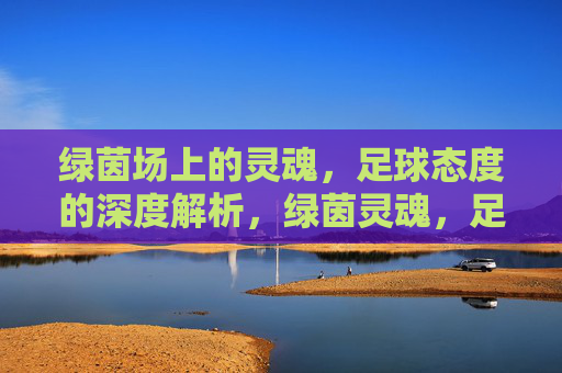 绿茵场上的灵魂,足球态度的深度解析,绿茵灵魂,足球态度的深度解析 绿茵场上的灵魂,足球态度的深度解析,绿茵灵魂,足球态度的深度解析