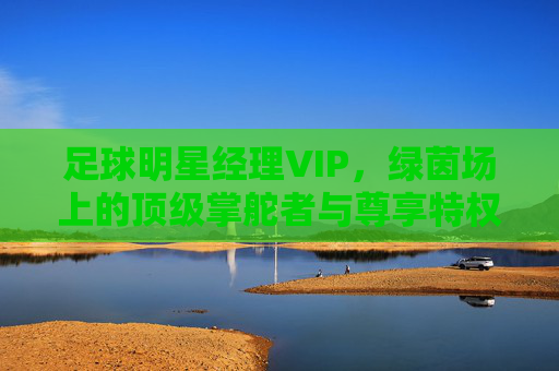 足球明星经理VIP，绿茵场上的顶级掌舵者与尊享特权，绿茵场顶级掌舵者，足球明星经理VIP尊享特权