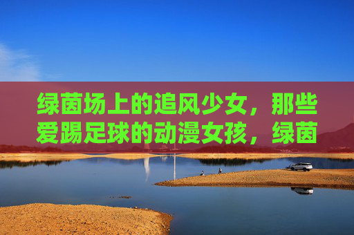绿茵场上的追风少女，那些爱踢足球的动漫女孩，绿茵追风，爱踢足球的动漫少女
