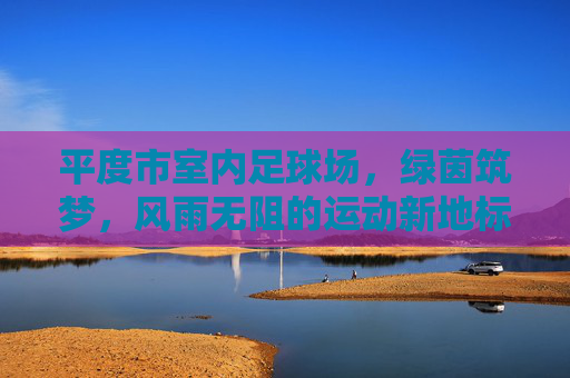 平度市室内足球场，绿茵筑梦，风雨无阻的运动新地标，平度市室内足球场，绿茵筑梦风雨无阻运动新地标