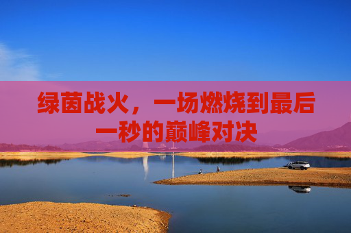绿茵战火，一场燃烧到最后一秒的巅峰对决