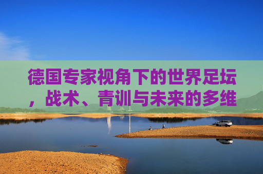 德国专家视角下的世界足坛，战术、青训与未来的多维解析，德国专家视角，世界足坛战术、青训与未来多维解析