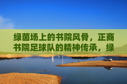 绿茵场上的书院风骨，正商书院足球队的精神传承，绿茵书风骨，传承正商魂