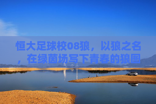 恒大足球校08狼，以狼之名，在绿茵场写下青春的狼图腾，狼图腾青春，恒大足球校08狼绿茵征途