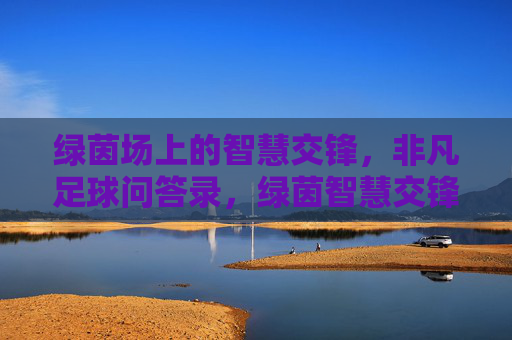绿茵场上的智慧交锋,非凡足球问答录,绿茵智慧交锋,非凡足球问答录 绿茵场上的智慧交锋,非凡足球问答录,绿茵智慧交锋,非凡足球问答录