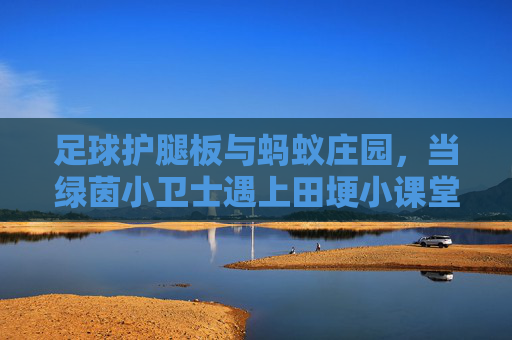 足球护腿板与蚂蚁庄园,当绿茵小卫士遇上田埂小课堂 足球护腿板与蚂蚁庄园,当绿茵小卫士遇上田埂小课堂