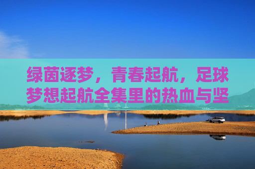 绿茵逐梦，青春起航，足球梦想起航全集里的热血与坚持，绿茵逐梦，青春热血起航