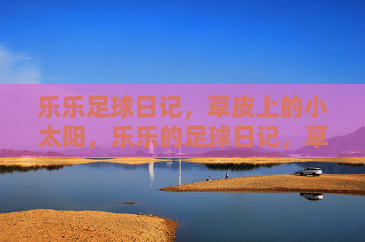 乐乐足球日记，草皮上的小太阳，乐乐的足球日记，草皮上的小太阳