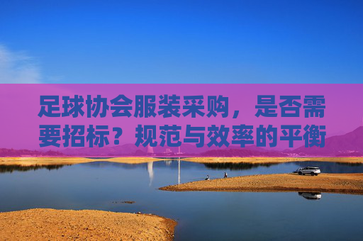 足球协会服装采购,是否需要招标?规范与效率的平衡之道,足球协会服装采购,招标的规范与效率平衡之道 足球协会服装采购,是否需要招标?规范与效率的平衡之道,足球协会服装采购,招标的规范与效率平衡之道