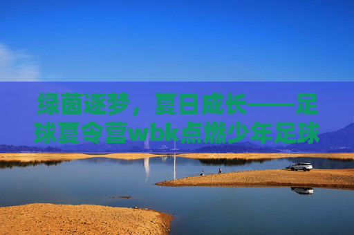 绿茵逐梦，夏日成长——足球夏令营wbk点燃少年足球热情，绿茵逐梦，夏日成长——足球夏令营wbk点燃少年足球热情