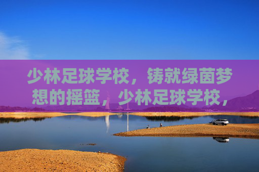 少林足球学校，铸就绿茵梦想的摇篮，少林足球学校，绿茵梦想的摇篮