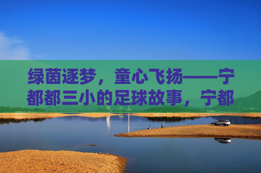 绿茵逐梦，童心飞扬——宁都都三小的足球故事，宁都都三小足球，绿茵逐梦，童心飞扬