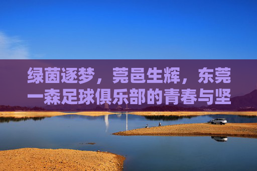 绿茵逐梦，莞邑生辉，东莞一森足球俱乐部的青春与坚守，绿茵逐梦青春守，莞邑生辉一森光