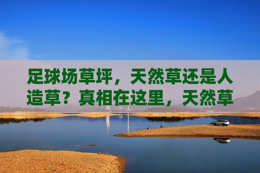 足球场草坪，天然草还是人造草？真相在这里，天然草VS人造草，足球场草坪的真相