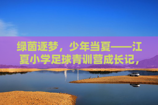 绿茵逐梦,少年当夏——江夏小学足球青训营成长记,江夏小学足球青训营,绿茵逐梦,少年当夏成长 绿茵逐梦,少年当夏——江夏小学足球青训营成长记,江夏小学足球青训营,绿茵逐梦,少年当夏成长