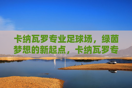 卡纳瓦罗专业足球场,绿茵梦想的新起点,卡纳瓦罗专业足球场,绿茵梦想新起点 卡纳瓦罗专业足球场,绿茵梦想的新起点,卡纳瓦罗专业足球场,绿茵梦想新起点