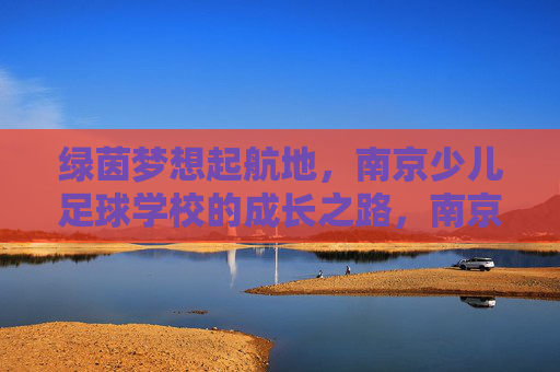 绿茵梦想起航地，南京少儿足球学校的成长之路，南京少儿足球学校，绿茵梦想的起航与成长