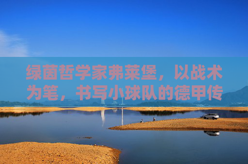 绿茵哲学家弗莱堡，以战术为笔，书写小球队的德甲传奇