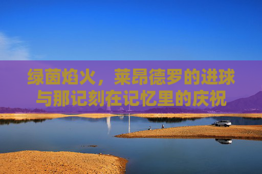 绿茵焰火,莱昂德罗的进球与那记刻在记忆里的庆祝 绿茵焰火,莱昂德罗的进球与那记刻在记忆里的庆祝