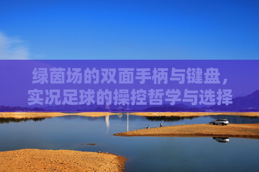 绿茵场的双面手柄与键盘，实况足球的操控哲学与选择之道，实况足球，双面手柄与键盘的操控哲学与选择之道