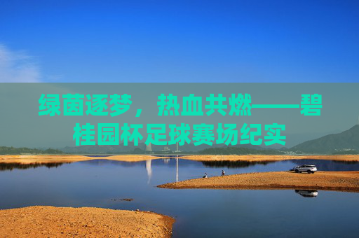 绿茵逐梦，热血共燃——碧桂园杯足球赛场纪实