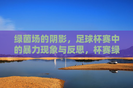 绿茵场的阴影，足球杯赛中的暴力现象与反思，杯赛绿茵下的暴力阴影与反思
