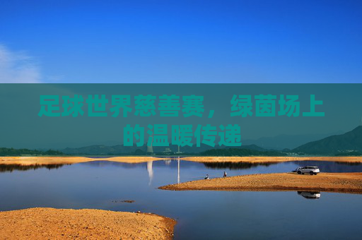 足球世界慈善赛，绿茵场上的温暖传递